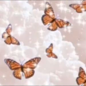 Meet your Posher, Jacqueline